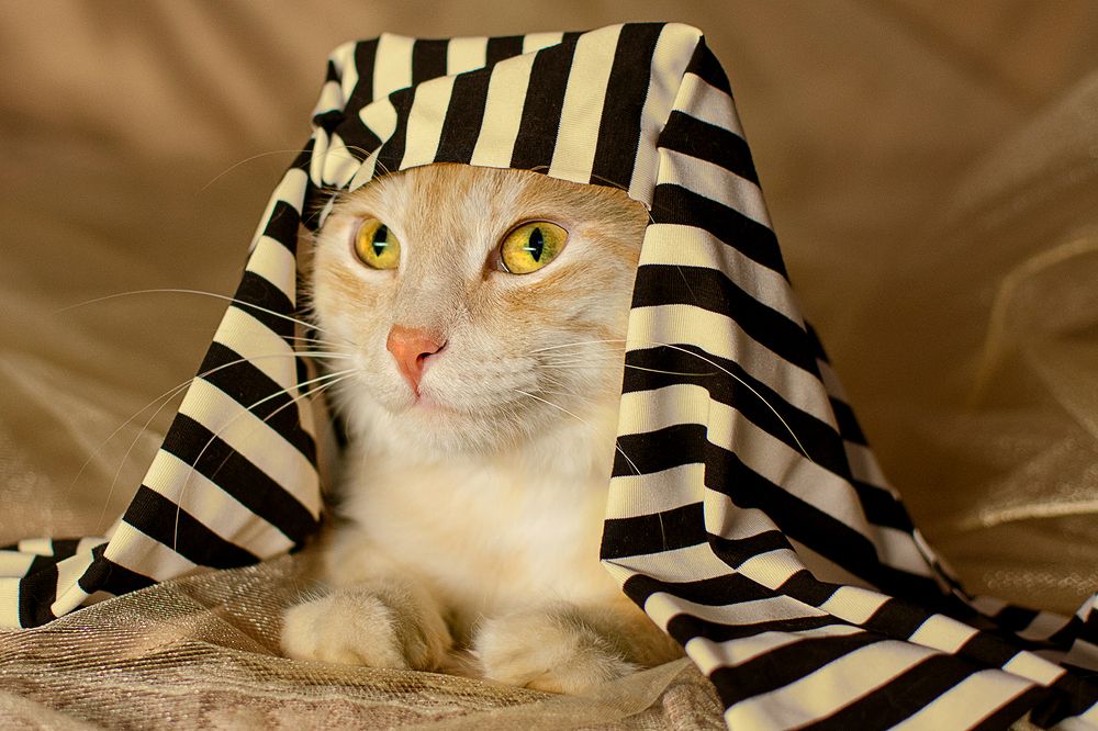 Photograph by Ksenia Volokitina