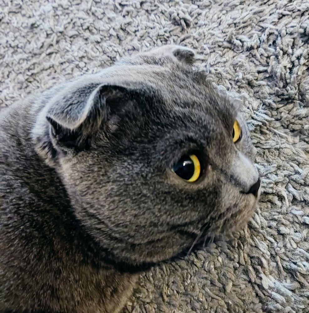 Photograph by Иван