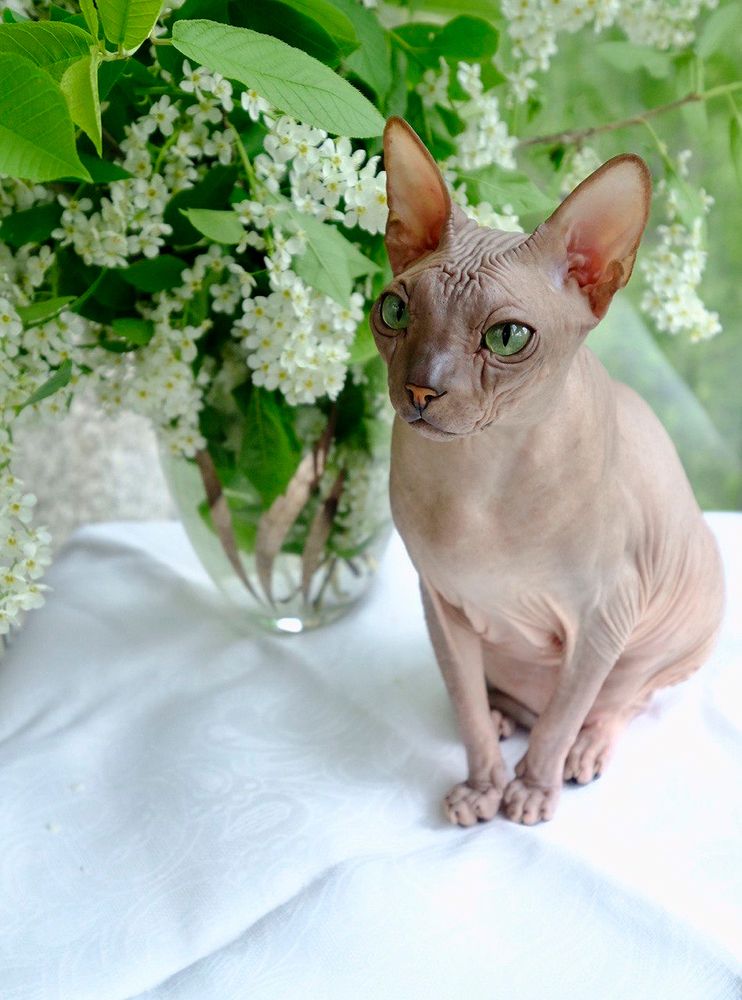 Photograph by Ольга Челдыкова