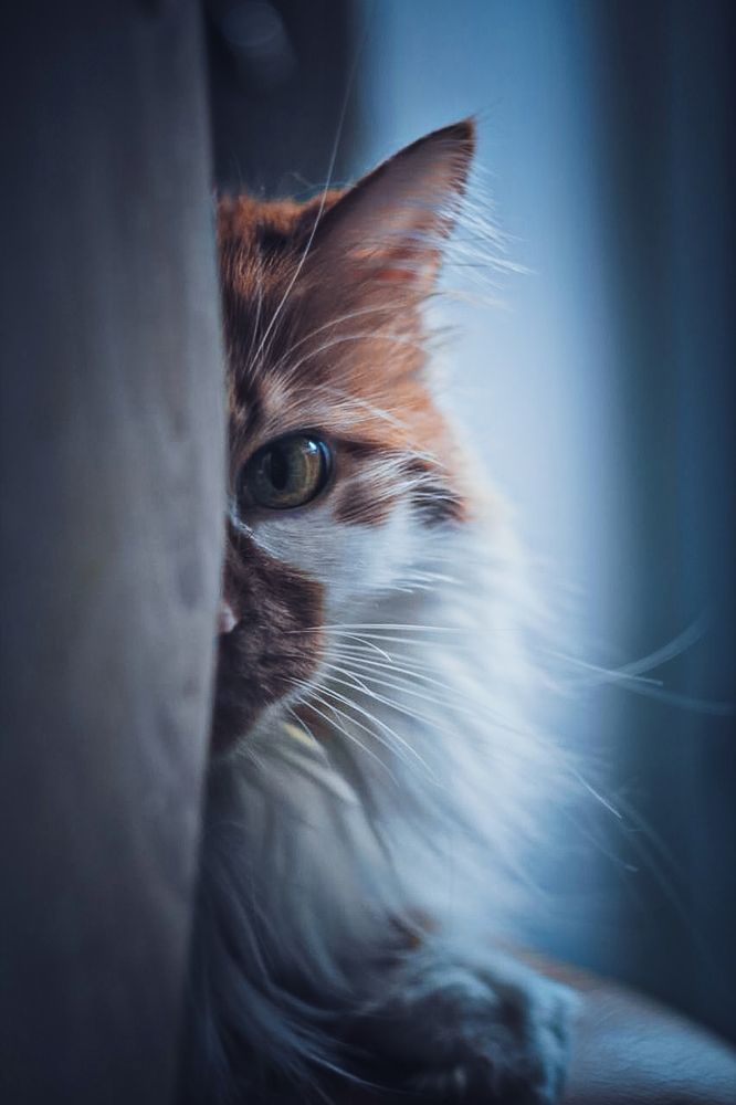 Фотография автора Валерия Правдюк