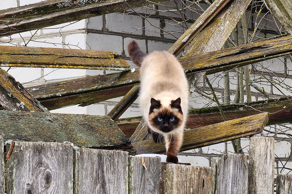 Photograph by Михаил Рассказ