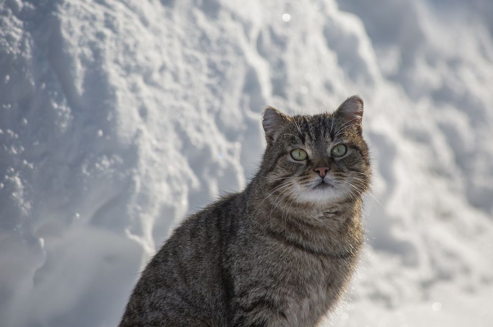 Photograph by Anton Gaev