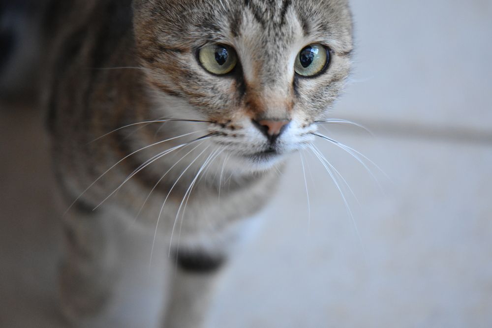 Beauty in imperfection