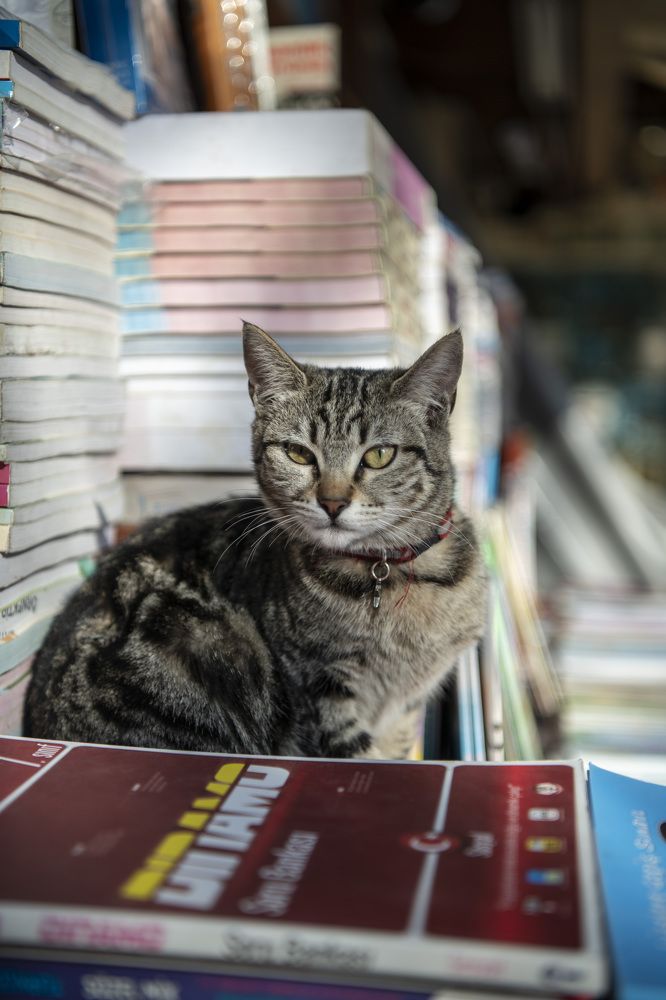 Photograph by Светлана Ермакова