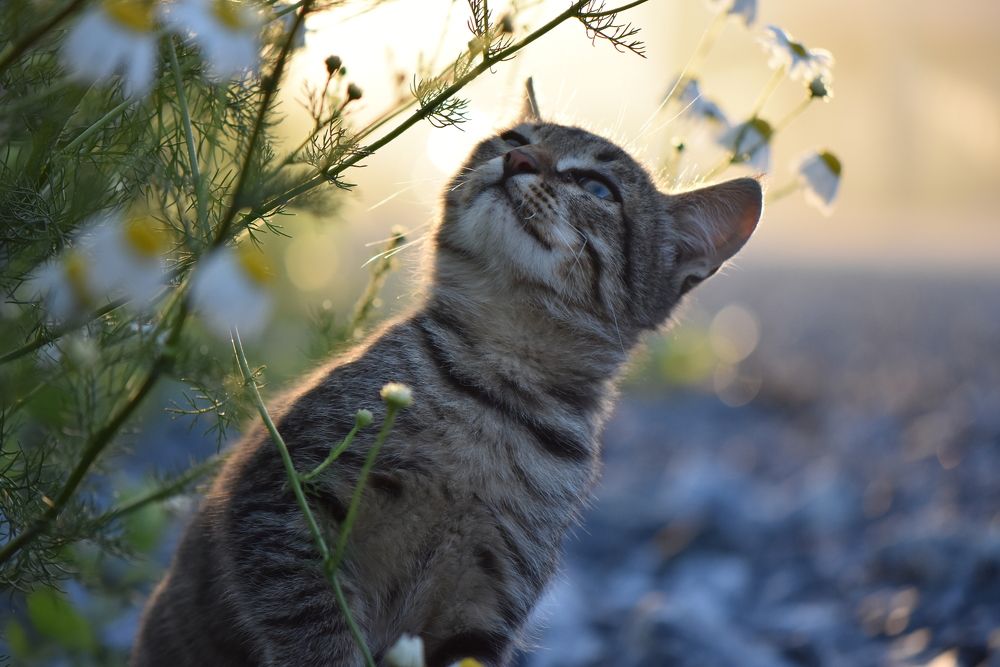 A moment of learning