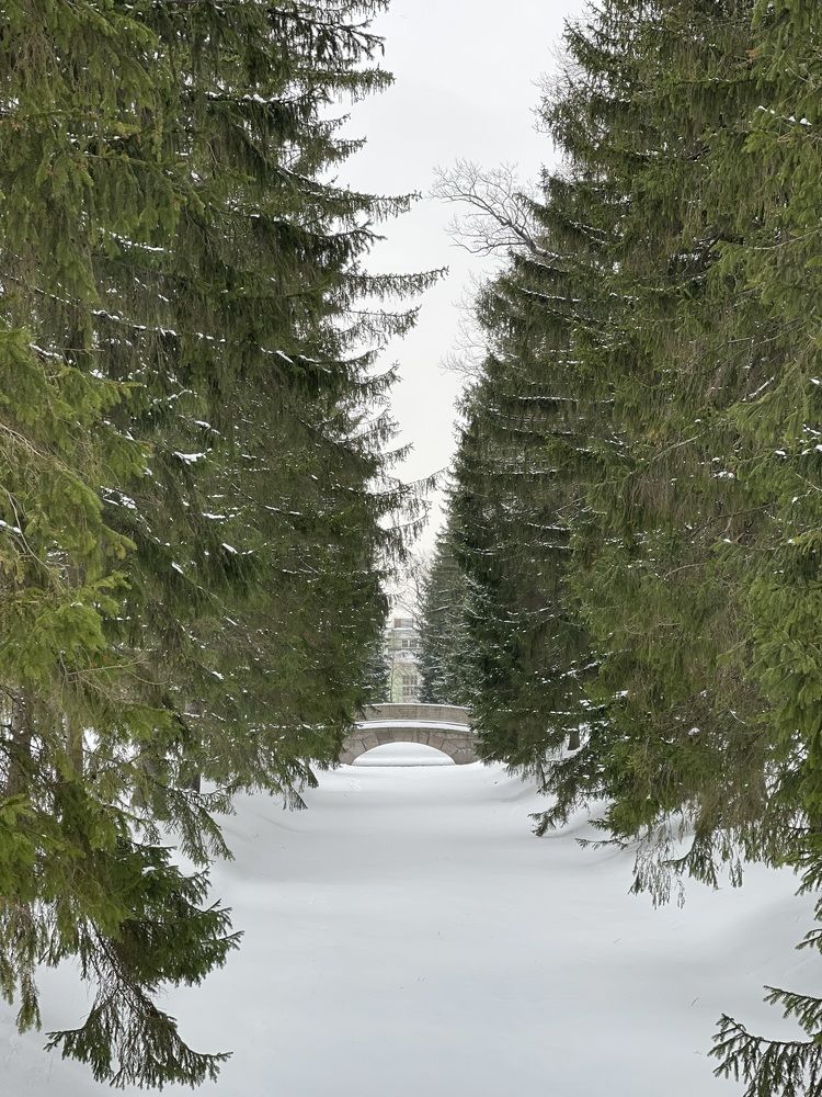 Photograph by Марина Салова