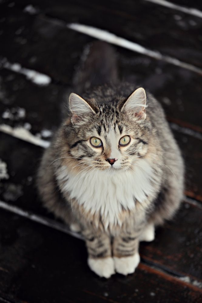 Фотография автора Татьяна Бабкина