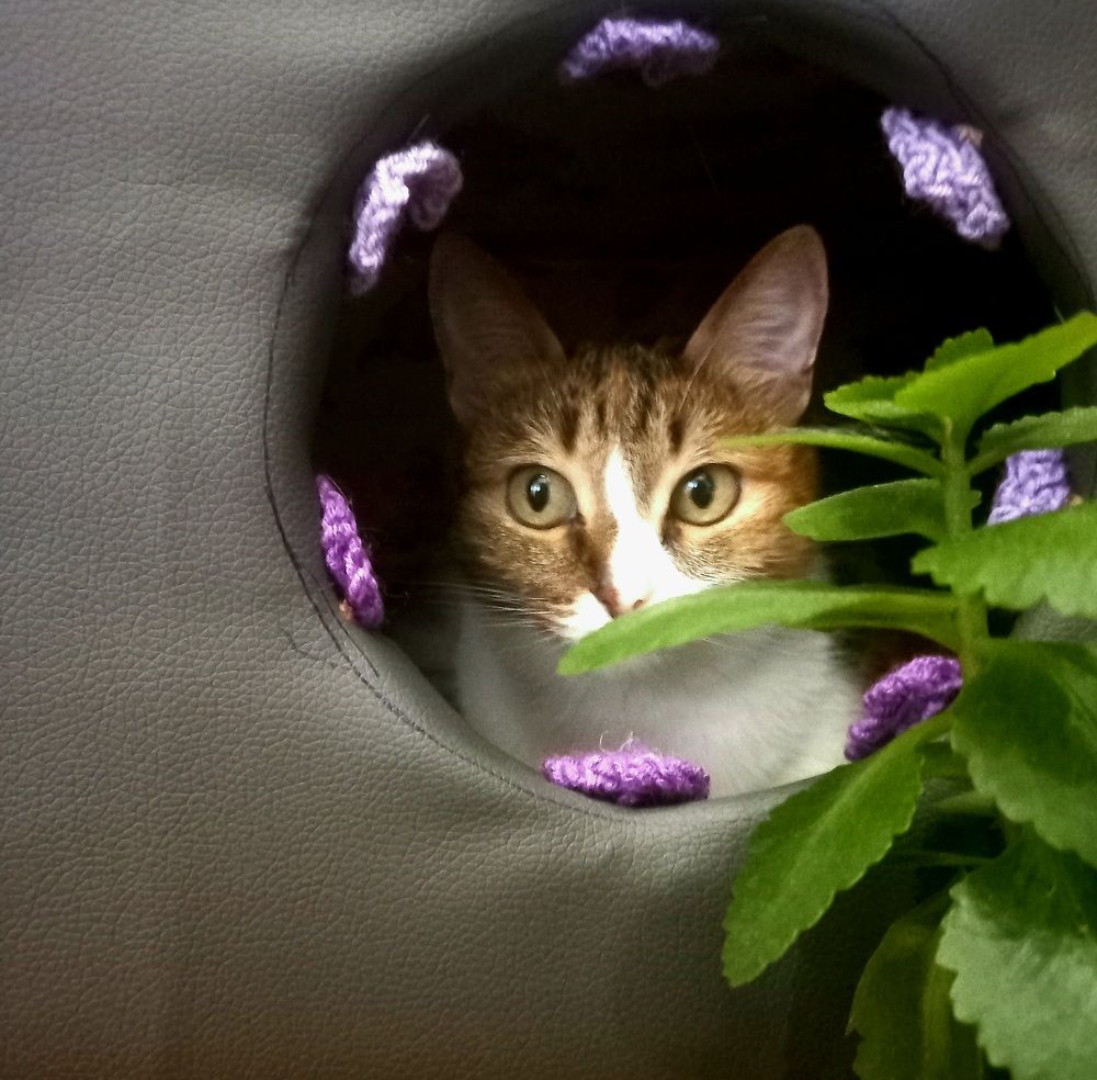 Photograph by Светлана Крон