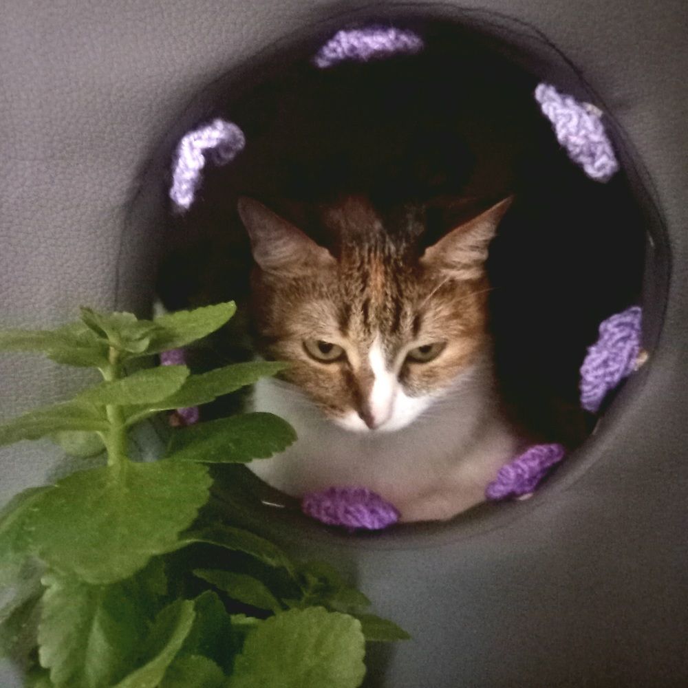 Photograph by Светлана Крон