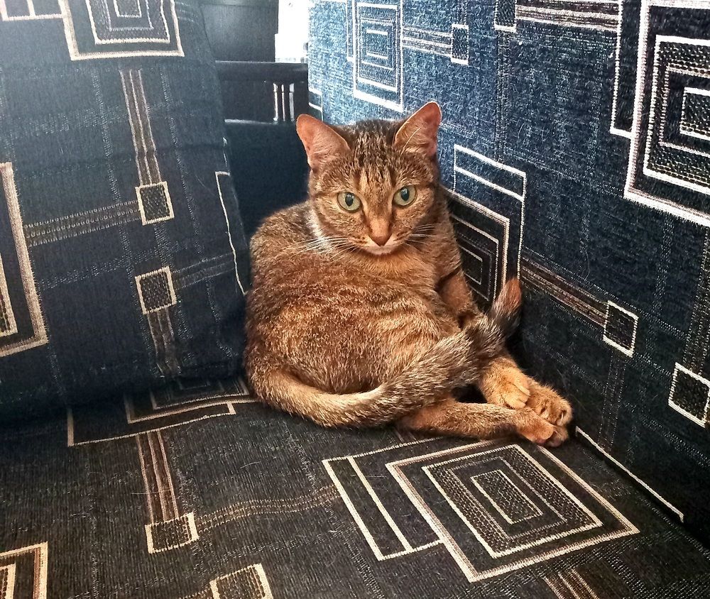 Photograph by Светлана Крон