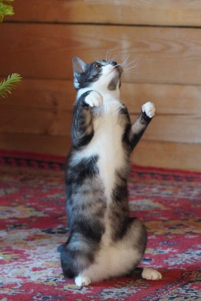 Photograph by Дарья Ринас