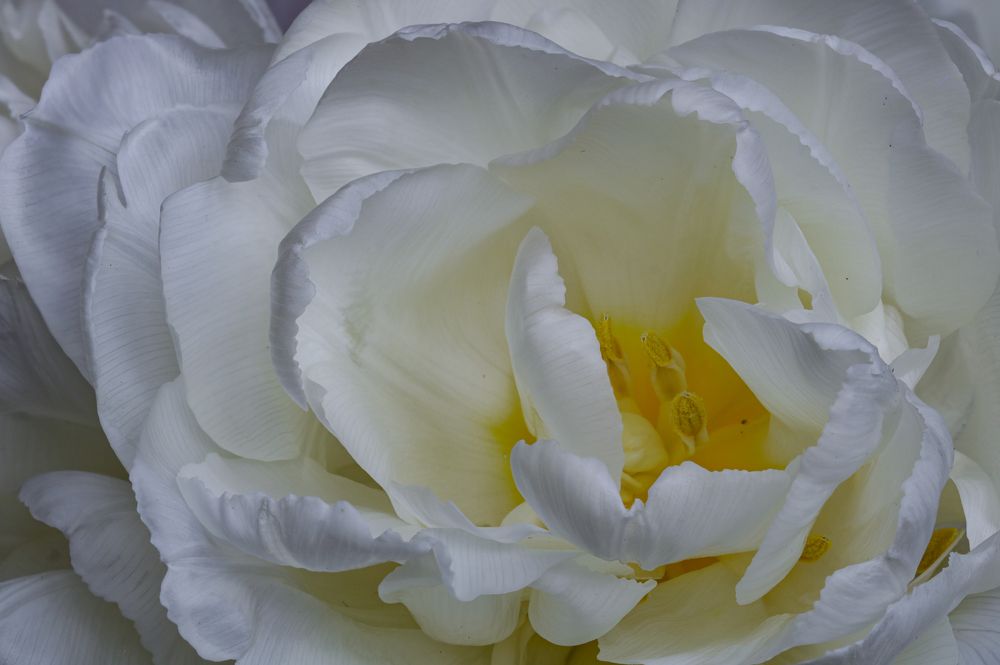 Photograph by Надежда Зайцева