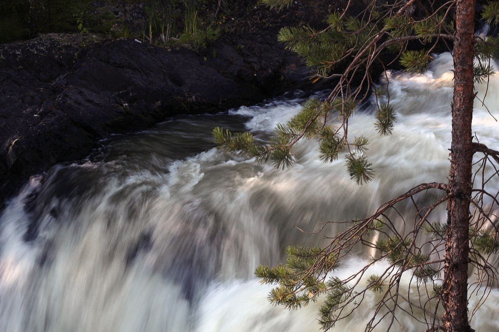 Photograph by Наталия Тарасова