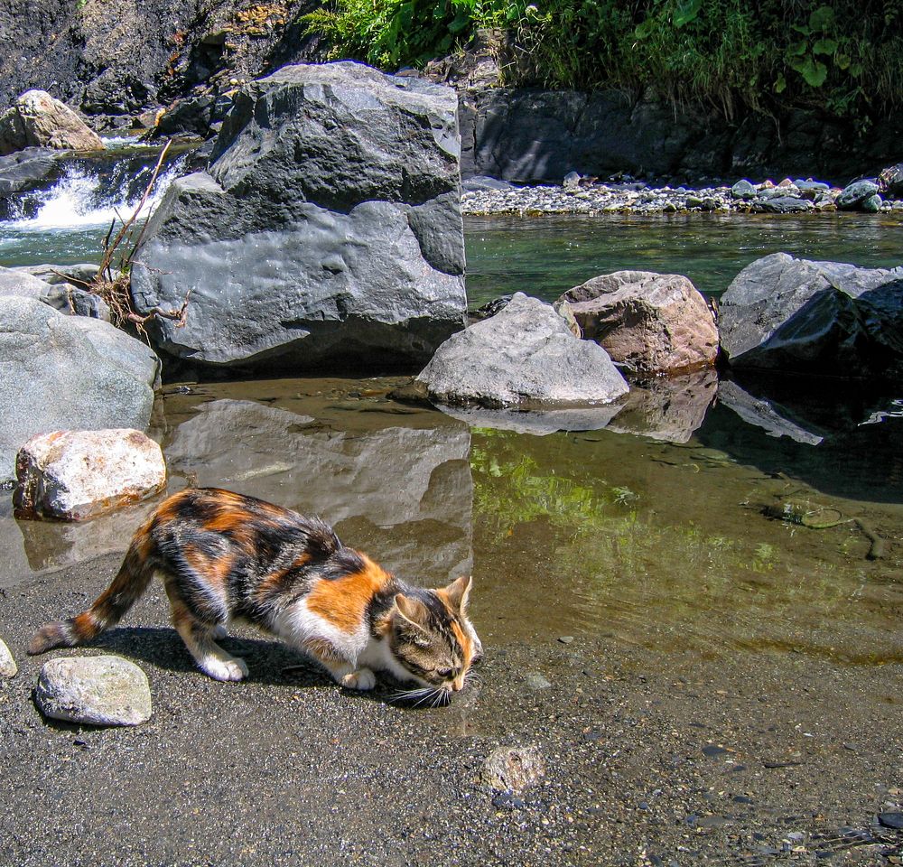 Фотография автора Александр Довганюк