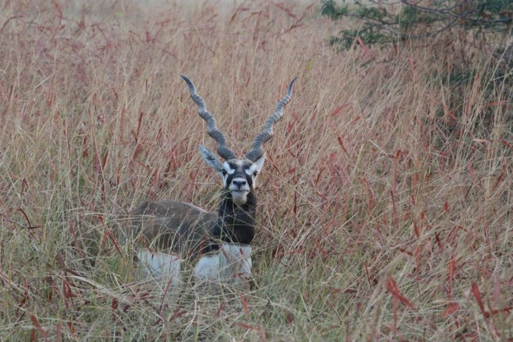 Photograph by Vishwa Trivedi