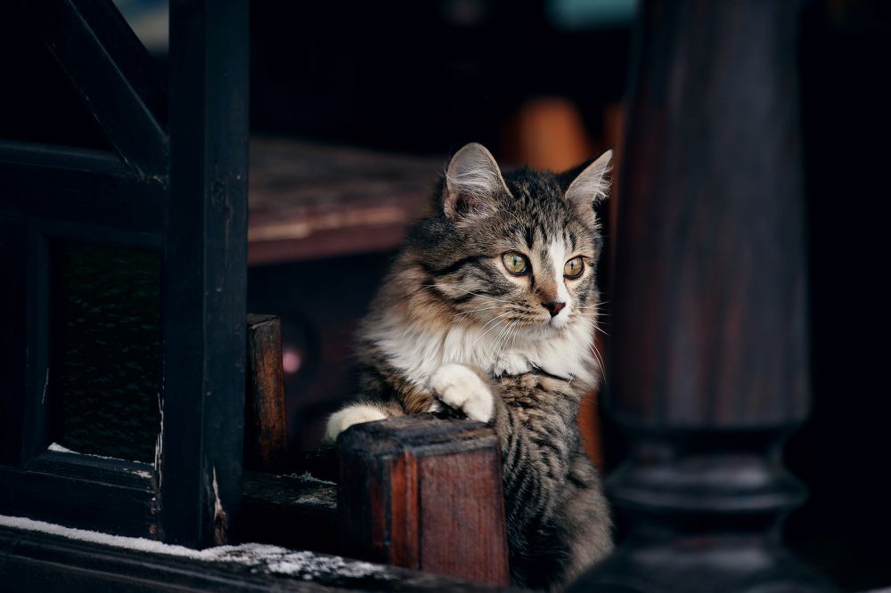 Фотография автора Татьяна Бабкина