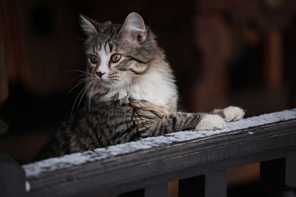 Фотография автора Татьяна Бабкина