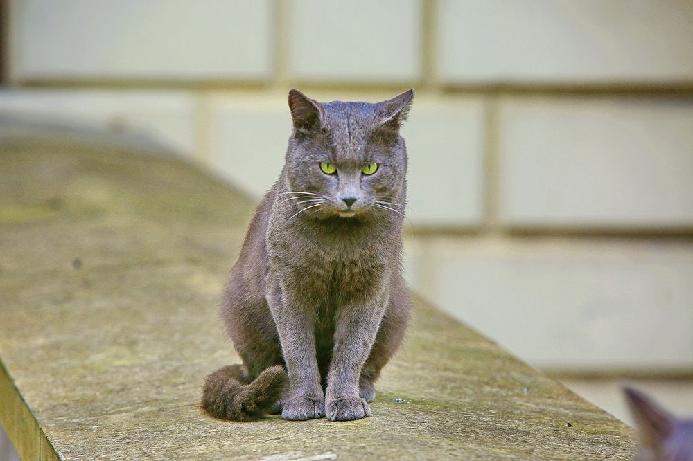 Photograph by VictОr