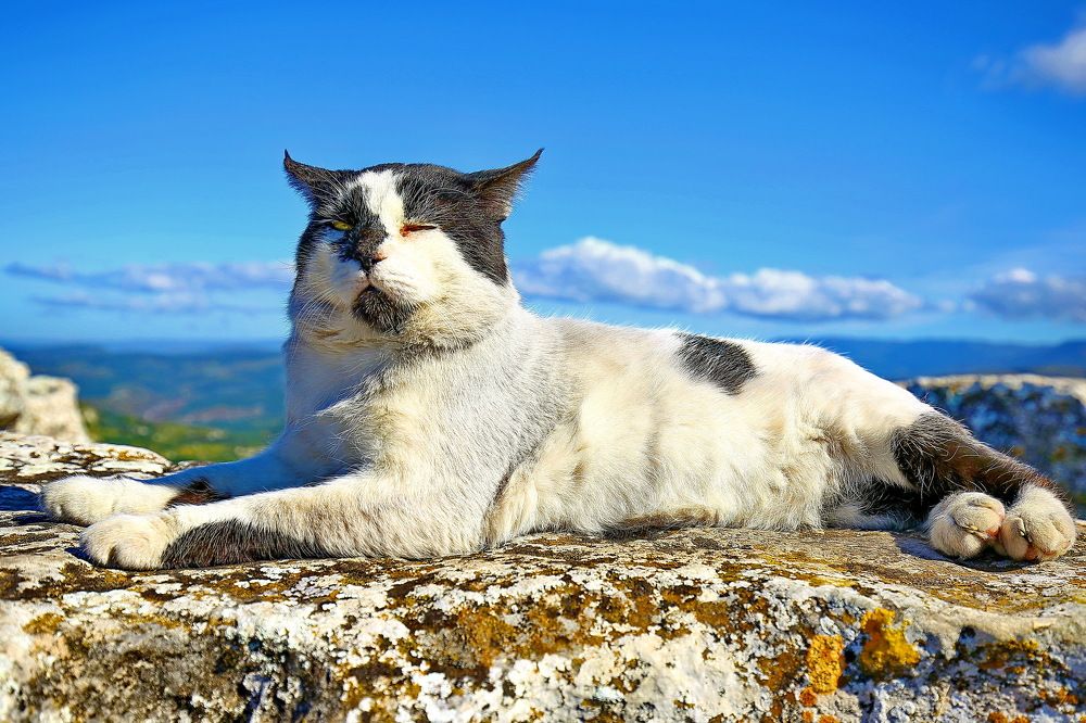 Photograph by VictОr