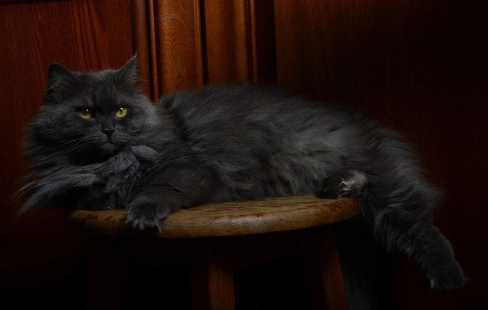 Photograph by Елена Ветрова