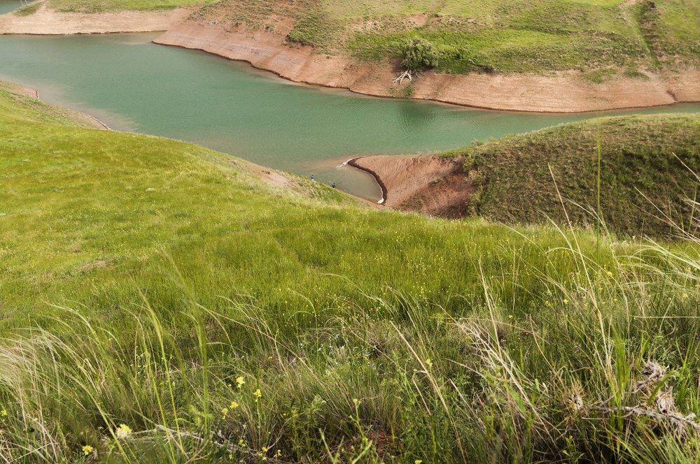 Photograph by Mahdi Farzami