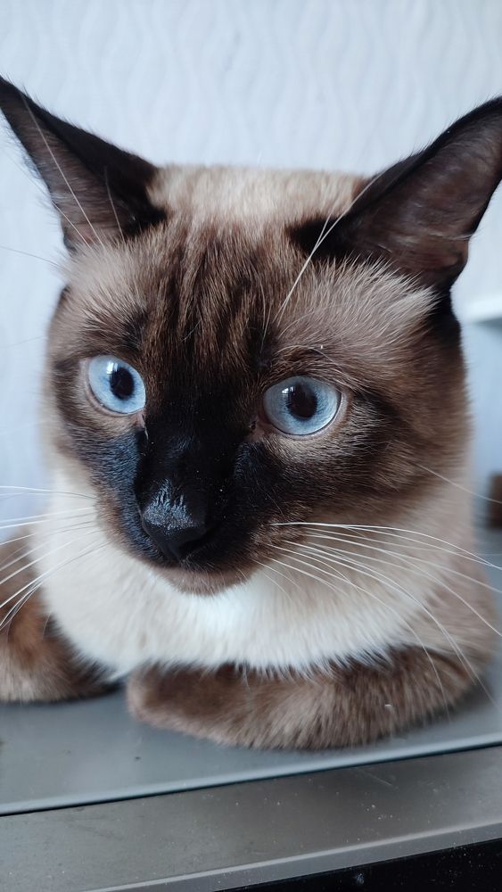 Photograph by Вахромова Елена