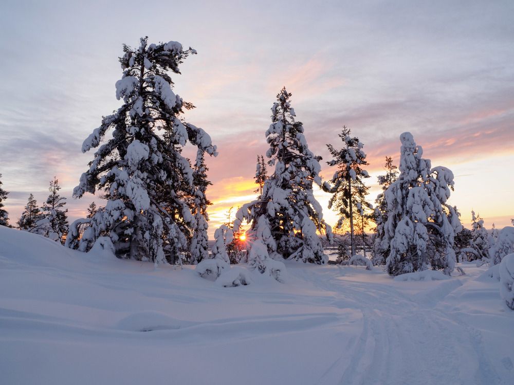 Photograph by Анна Шейко