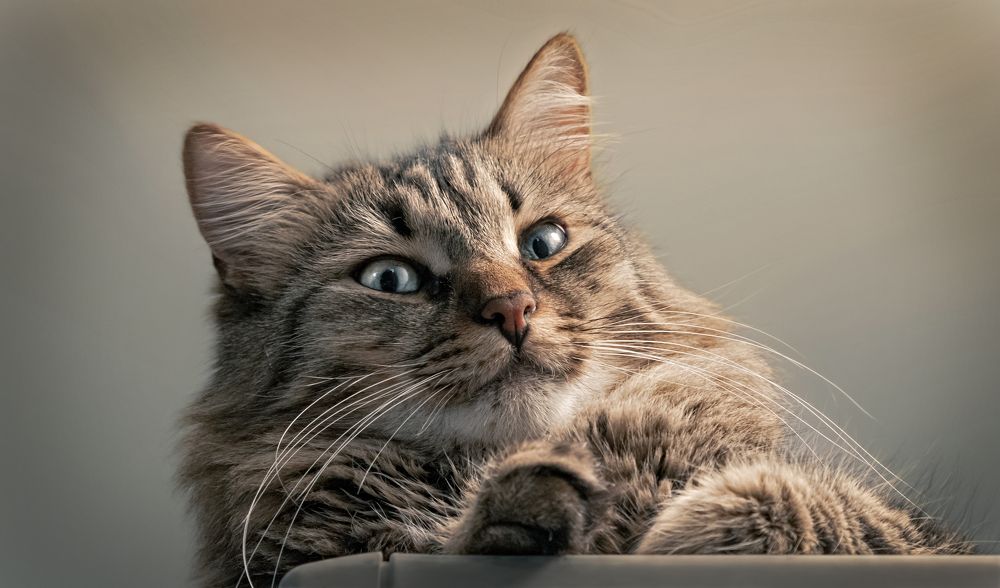 Photograph by Stamen Sotirov