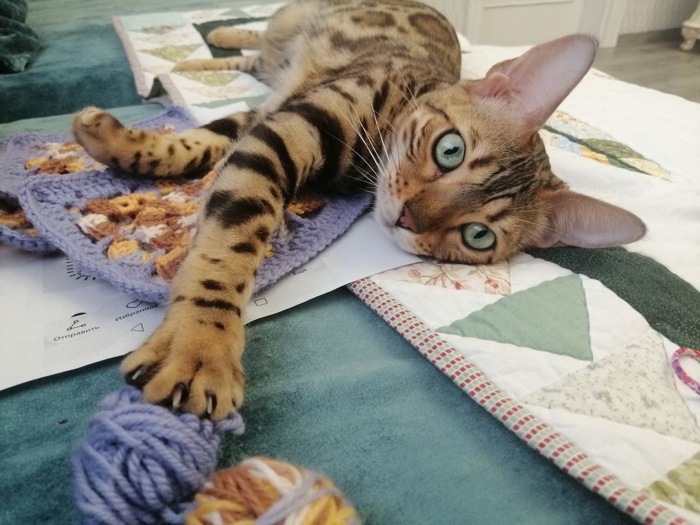 Photograph by Юлия Фирман