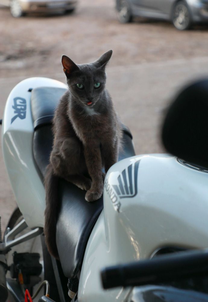 Photograph by Дарья Юсарева