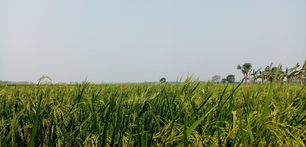 Photo #9003179
