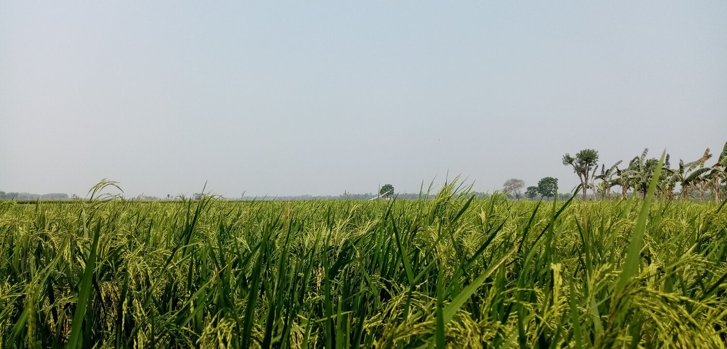 Photo #9003179
