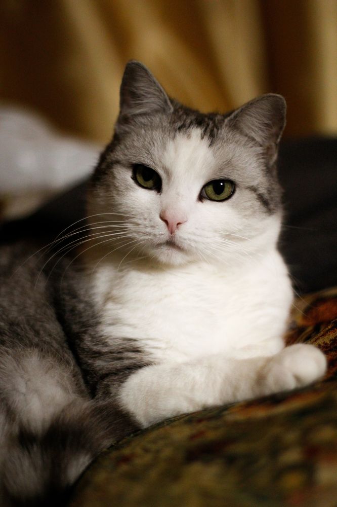 Photograph by Сергей Шестов