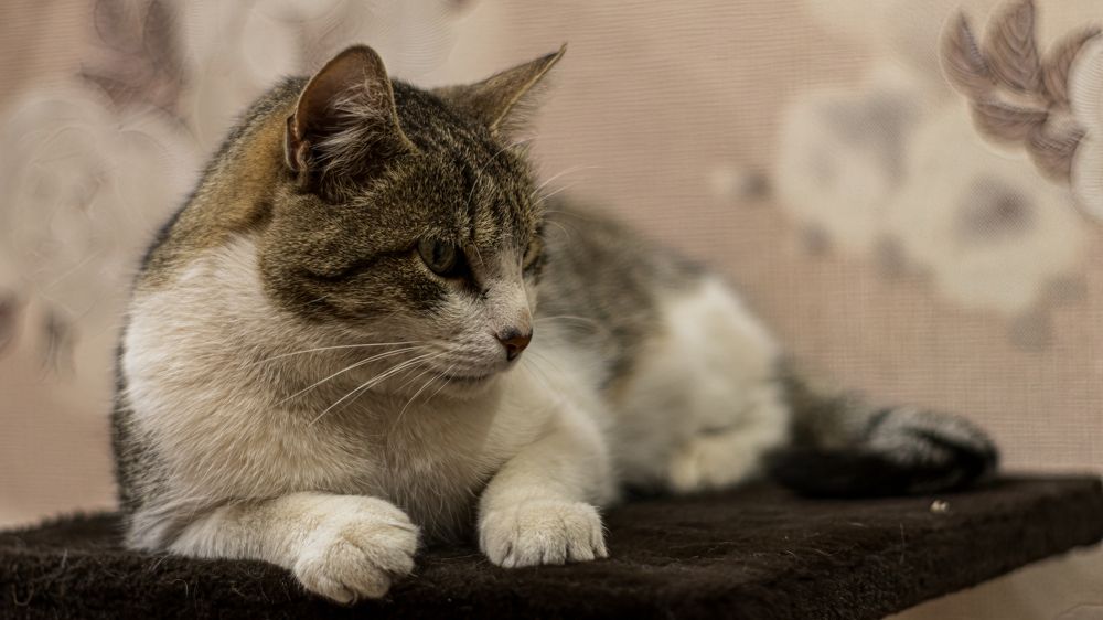 Photograph by Сергей