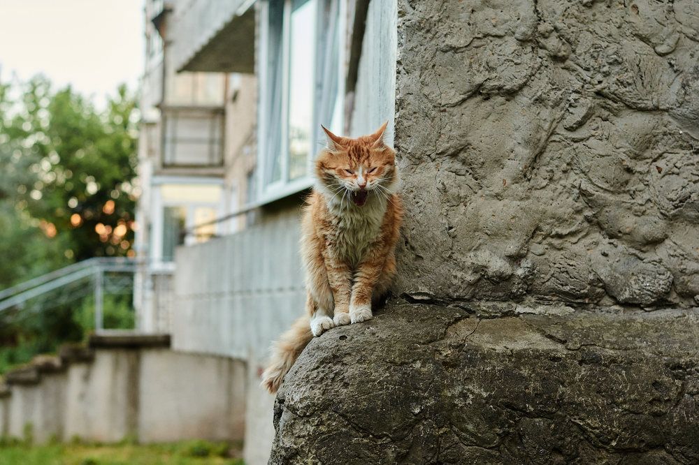 Photograph by Александр Мольков