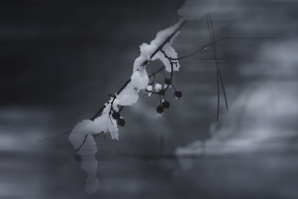 Photograph by Оксана Пономаренко