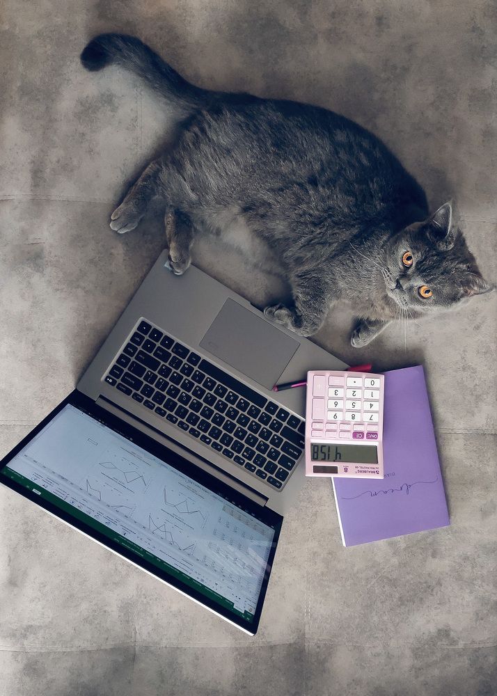 Photograph by Марина Ярмак