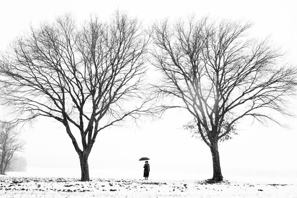 Photograph by Алина Шевченко