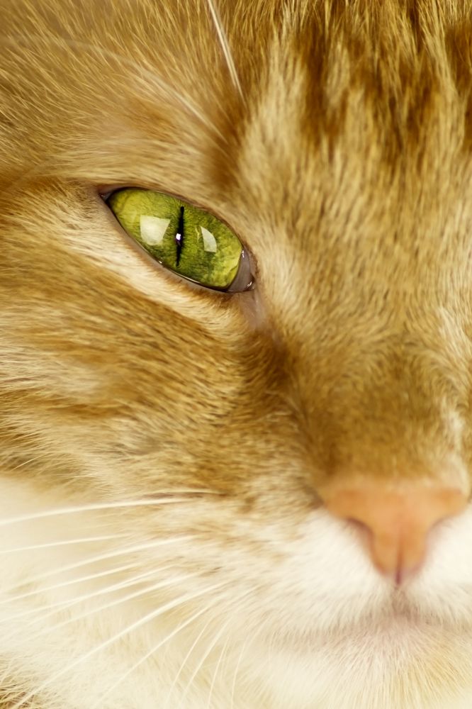 Photograph by Наталия