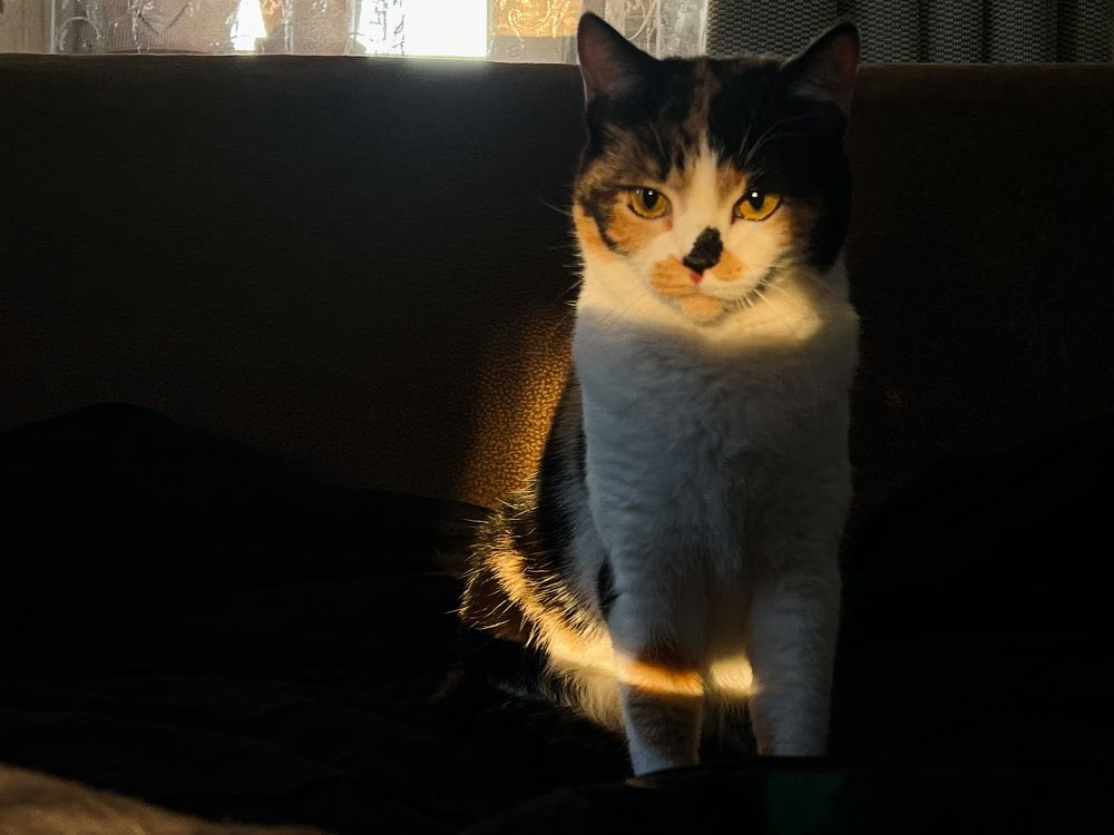 Photograph by Ирина Куренкова