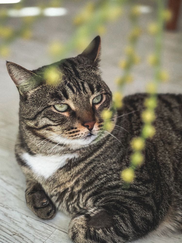 Photograph by Ирина Куренкова