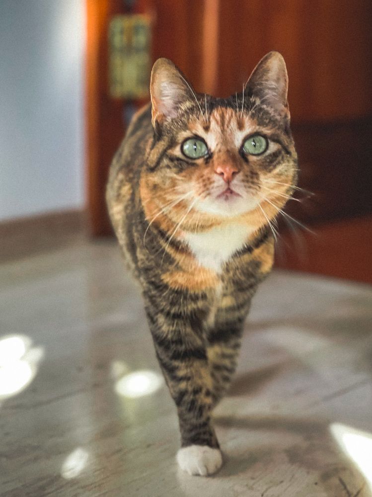 Photograph by Ирина Куренкова