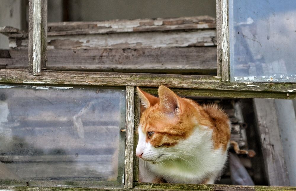 Photograph by Инесса Громова