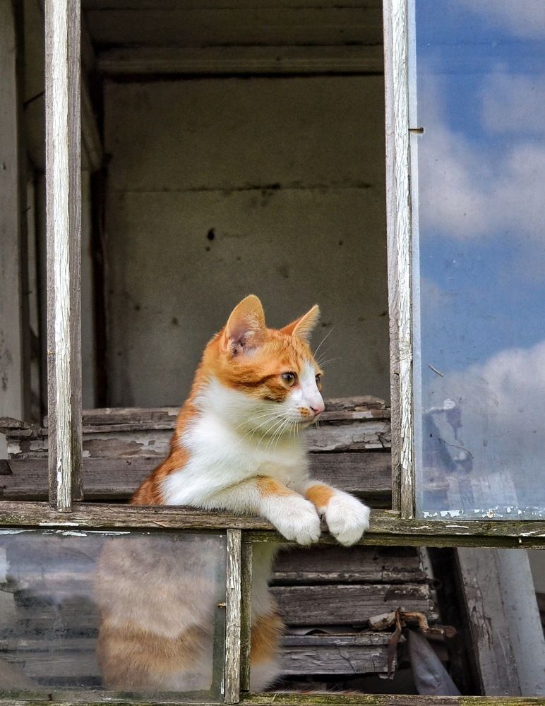 Photograph by Инесса Громова