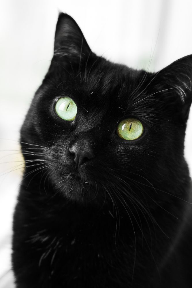 Photograph by Валерия Гончарова-Горобченко