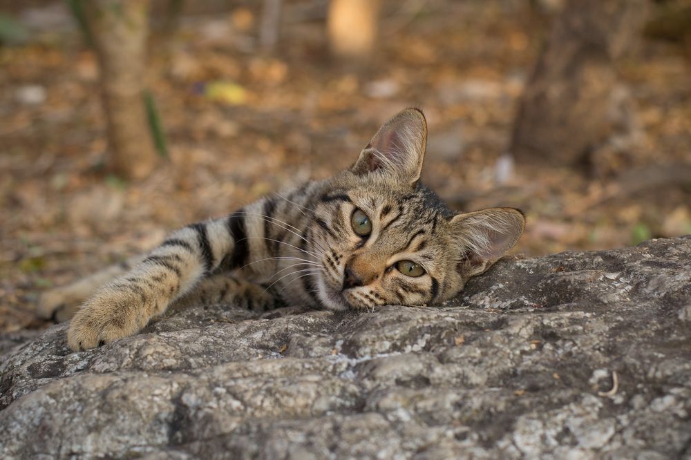 Photograph by Ирина