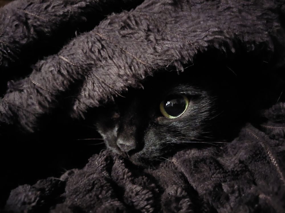 Фотография автора Мария Коледа