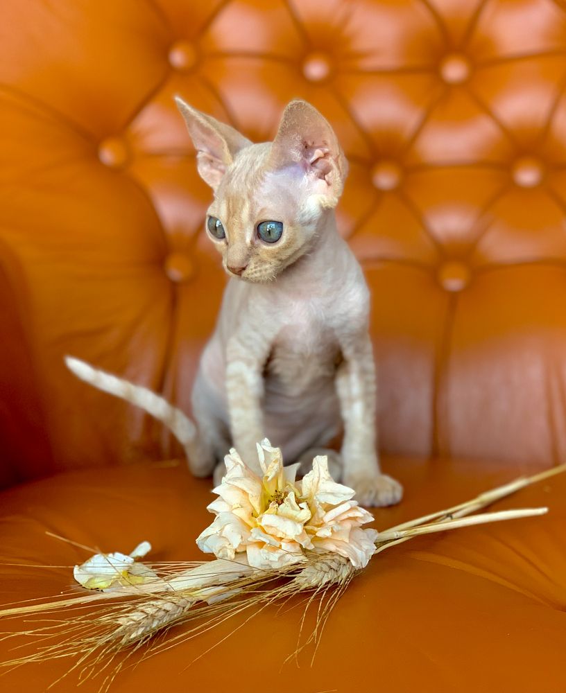 Photograph by Acrement Valentina