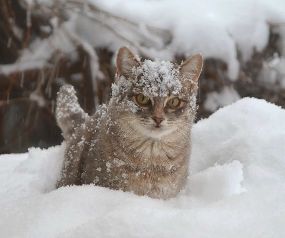 Photograph by Татьяна Рябова