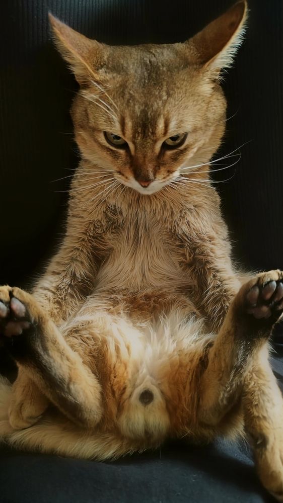 Photograph by Татьяна Рябова